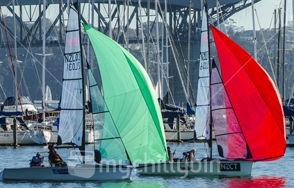 Match racing yachts near the Auckland Harbour Bridge