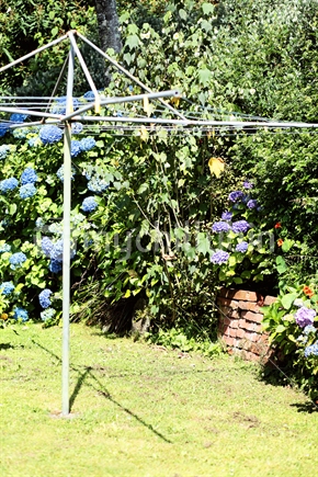 A country backyard garden complete with rotary clothesline. 