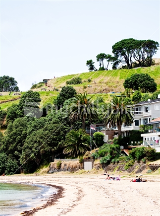 People sunbathe on Cheltenham Beach whilst others slide down the grassy banks on North Head Recreational Reserve; North Head, Auckland 