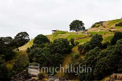 Cheltenham Beach, North Head Historic Reserve (Maori Pa old site), Auckland 