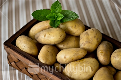 Basket of freshly dug potatoes garnished with sprig of mint.