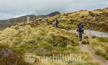 Trampers walk along the mountain ridge heading for the Iris Burn hut on the Kepler track