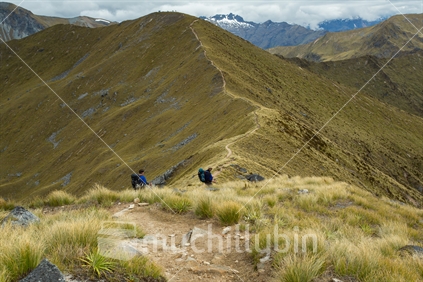 Trampers head for one of the many mountainous inclines on the Kepler track