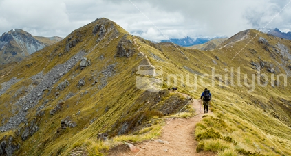 A Tramper heads for one of the many mountainous inclines on the Kepler track