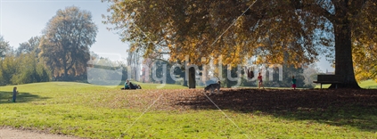 An autumn afternoon at the park, parents keep watch while children play in the leaves with their dog.