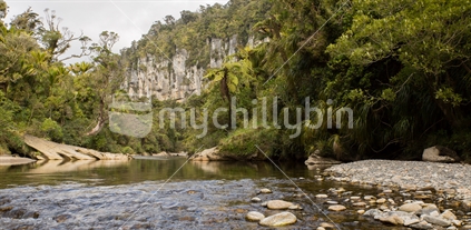 The limestone cliffs bordering the Pororari river in the Paparoa National Park