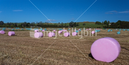 Pink is the new green for hay bales.