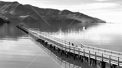 Monochrome image of an iconic jetty showing earthquake damage