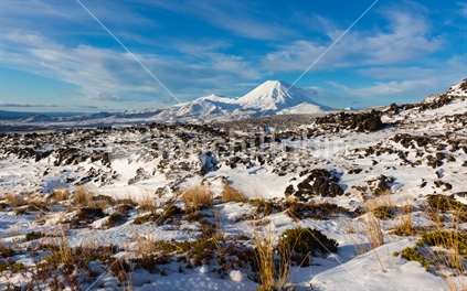 A view of Mt Ngauruhoe from Scoria Flats in winter