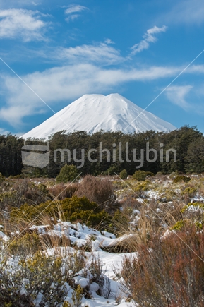 The cone shape of the stratovolcano that is Mt Ngauruhoe