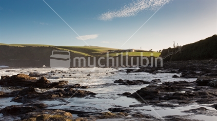 Curio Bay with its fossilised forest seen at low tide