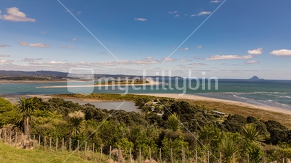 Looking across the top of the bush into Ohiwa Harbour and Uretara Island
