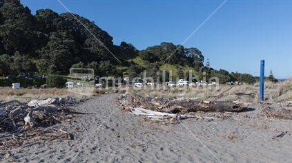 Driftwood marks the entrance from the beach to the Ohiwa Camping Ground in the Eastern Bay of Plenty