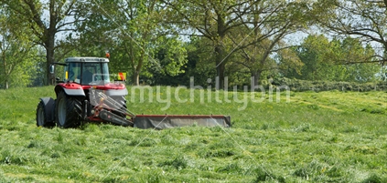 Tractor in Waikato paddock cuts the grass