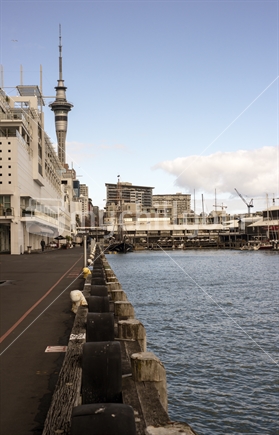 Auckland City Sky Tower, from Queens Wharf