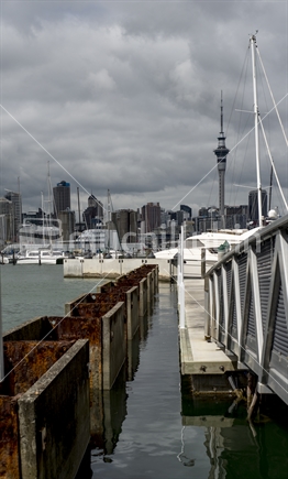 Auckland City from Westhaven Marina - Image 1