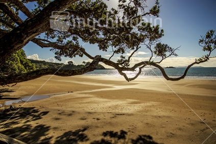 Sunny day on a deserted Coopers Beach, Northland