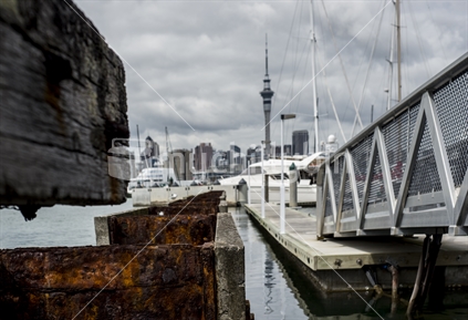 Auckland City from Westhaven Marina - Image 2