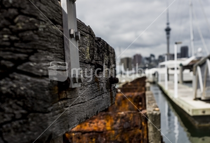 Auckland City from Westhaven Marina - Image 3