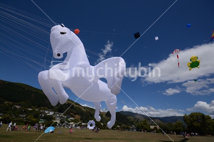 Horse Kite, Nelson