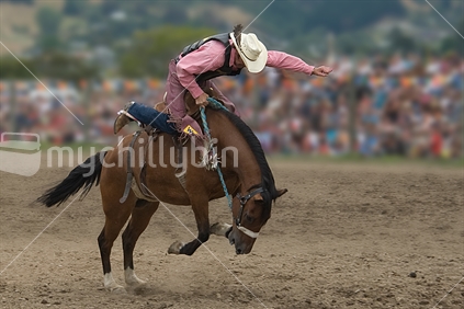 Over the top at the Richmond Rodeo