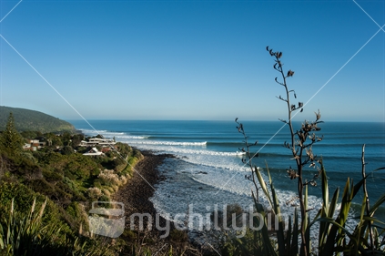 Whale Bay near Raglan with the waves bending into the bay. This is a world famous surf spot.
