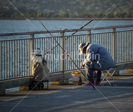fishing from Devonport wharf