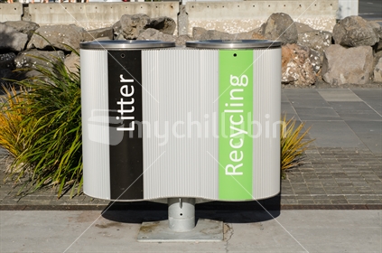 Combined litter and recycling bin
