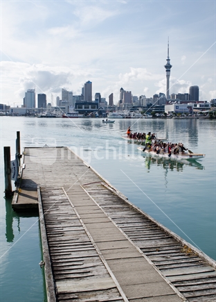 Paddlers in St Marys Bay, with Auckland Cityscape