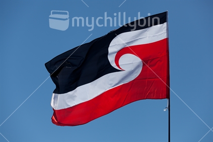 The Maori Sovereignty Flag Flies over Waitangi Day Celebrations