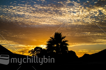 Sunset in Manukau City