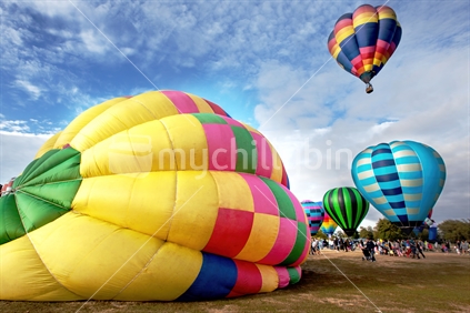 Balloons starting to take off during the 2014 Hamilton Balloon Festival.