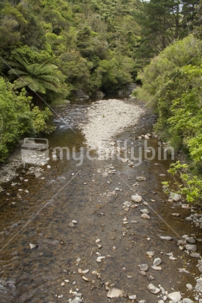Stream with low water flow, at the start of the Sledge Track, Manawatu region.  