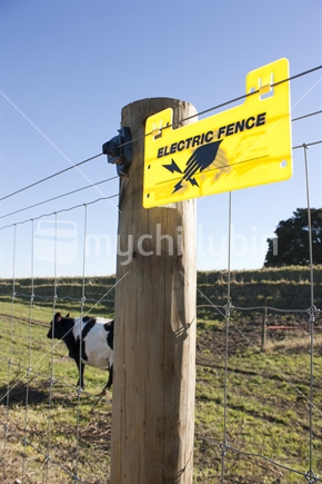 Electric fence sign on cow paddock.  