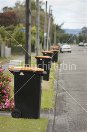 Recycling bins out for collection