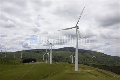 Wind turbines at Te Apiti wind farm in the Manawatu.  
