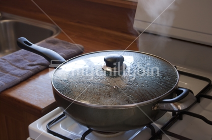 A pan of food steaming away on the stovetop