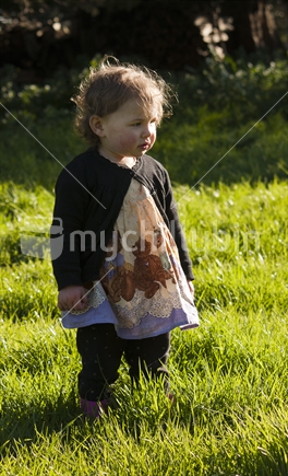 Sweet little girl in the grass