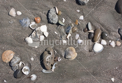 Shells and rocks at Kai Iwi beach
