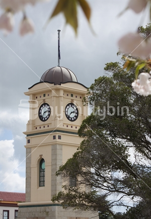The iconic Feilding clock tower in spring