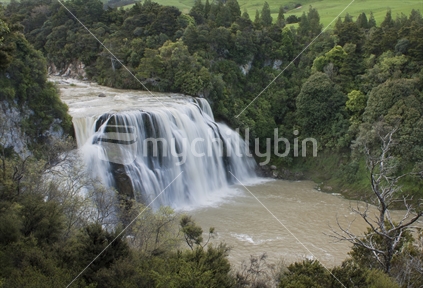 Waihi Falls east of Dannevirke
