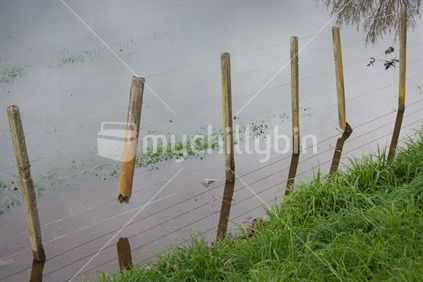 Water-logged paddock