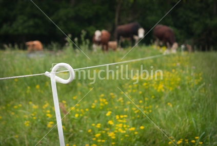 Electric fence with copy space. limited depth of field