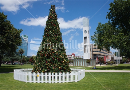 Christmas tree in the square, Palmerston North