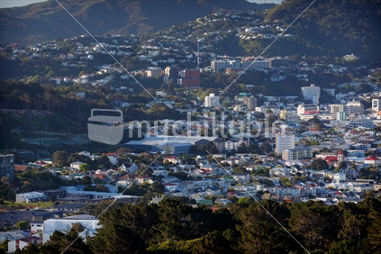 Late afternoon view of a Wellington suburb, Victoria university on the hill.