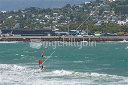 Windsurfers in Lyall Bay, Wellington.