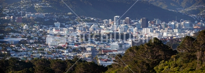 Panoramic view of Wellington CBD.
