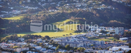 Late afternoon view of a Wellington suburb with a view of the town belt. 