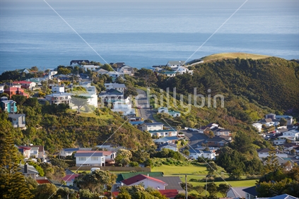Late afternoon view of a residential street in a Wellington suburb over looking the sea.