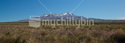 Mt Ruapehu in summer from the Desert Road summit